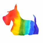 Michele Geiger-Bronsky - Instagram Profile Picture of Michele Geiger-Bronsky (@dcscots) on Instagram