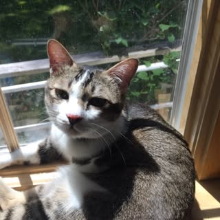 Profile Picture of Christine Sontag (@christine.sontag) on Instagram