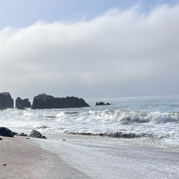 Profile Picture of Tina Zeng (@moonlmoon) on Poshmark