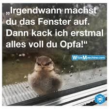 Profile Picture of Mike Wambolt (@MikeWambolt) on Twitter