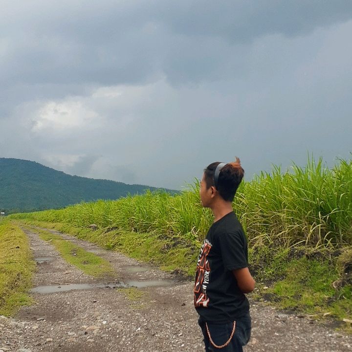 Profile Picture of vincentraco (@vincentraco) on Tiktok