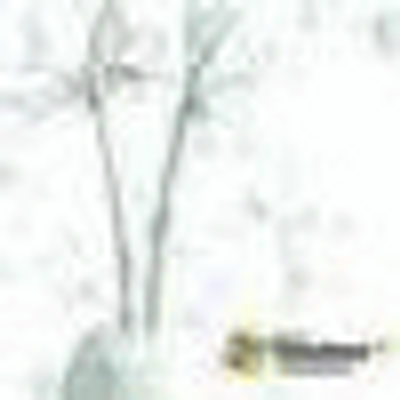 Renee Herbert - Twitter Profile Picture of Renee Herbert (@herbert_renee) on Twitter