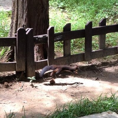 김헌용 (Kim Hunyong) - Twitter Profile Picture of 김헌용 (Kim Hunyong) (@MoritzMomo) on Twitter