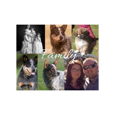 Profile Picture of The Gibbons Pack (@AlishaGibbons8) on Twitter