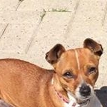 Profile Picture of Jason Fordham (@fordhamjason) on Instagram