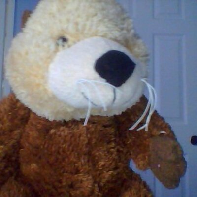 Profile Picture of Marc Mouton (@marcmouton10) on Twitter