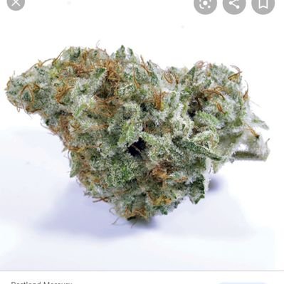 Profile Picture of Kaspy (@Kaspyman) on Twitter