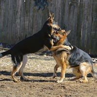 Profile Picture of Mark Mullin (@mark-mullin-6) on Quora