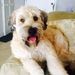 Profile Picture of Eunice Poole (@p5annie04) on Pinterest