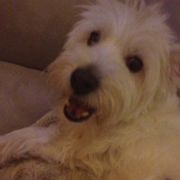 Profile Picture of Anastasia Filanovich (@lolalewis) on Poshmark