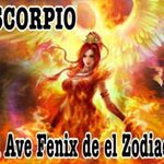 Profile Picture of Zulma Rivera (@zulma.rivera.100483) on Instagram