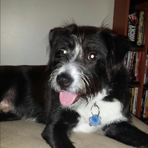 Profile Picture of Emily Kretzer (@flowerchild1507) on Poshmark