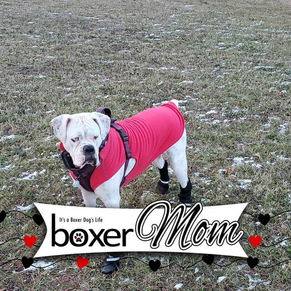 Profile Picture of Pamela Morrison (@celtic_water) on Poshmark