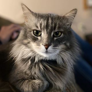 Profile Picture of Kason Stateler (Daniel) (@Kason-Stateler) on Facebook