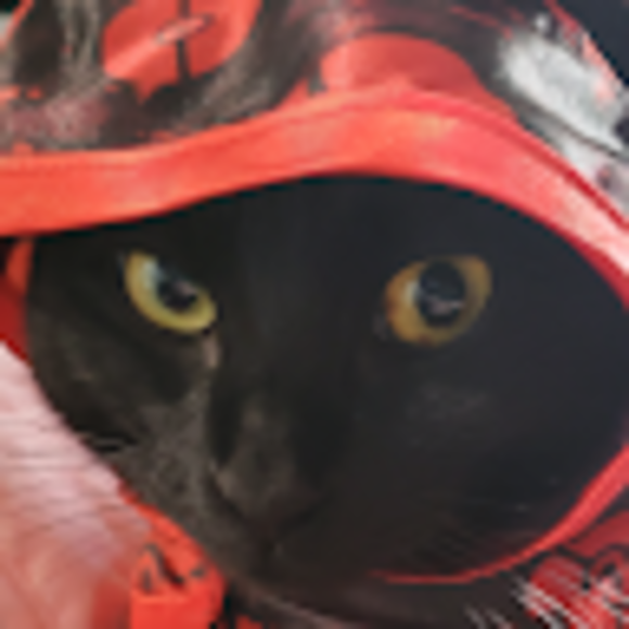 Profile Picture of Christopher Armstrong (@drnihilx) on Poshmark