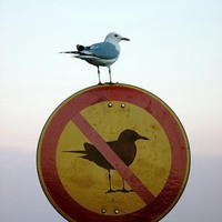 Profile Picture of Bart Jacobs (@bart-jacobs-15) on Quora
