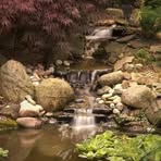 Profile Picture of Matt Craig (@Matt-Craig) on Facebook