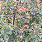 Profile Picture of Claudette Jones (@claudettejones8313) on Youtube