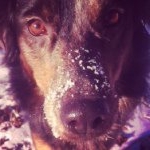 Profile Picture of Masey ray Kress (@masey_is_awesome) on Instagram