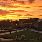 Profile Picture of Tree House: Line Updates (@treehouse_lineupdates) on Instagram