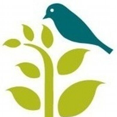 Profile Picture of Alison A Hoffman (@EveryGreenPlant) on Twitter