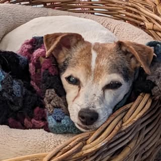 Profile Picture of Nancy Bell (@n_bell_ish) on Instagram