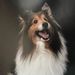Profile Picture of Curt Barrett (@cbdoornwin) on Pinterest