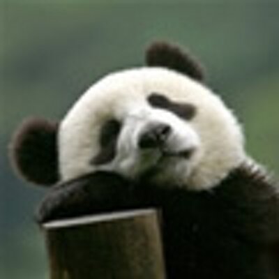 James King - Twitter Profile Picture of James King (@WeiShuai9002) on Twitter