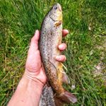 Profile Picture of Caleb Hales (@calbhales) on Instagram