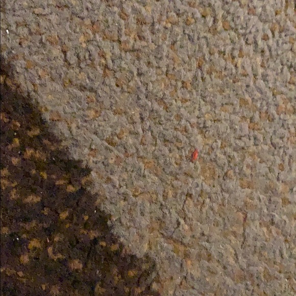 Profile Picture of Jessy Agueda (@jessicaagueda1) on Poshmark