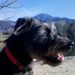 Profile Picture of Cindy Hamlett (@cynhamlett) on Pinterest