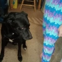 Vincent Armstrong - Quora Profile Picture of Vincent Armstrong (@vincent-armstrong-15) on Quora