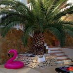 Profile Picture of Cathy Peltier (@arcais11) on Instagram