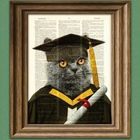 Profile Picture of Nicholas Dimond (@nicholas-dimond-3) on Quora