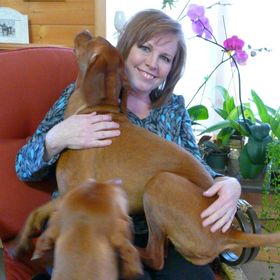 Profile Picture of Janie Jones (@janiejonesmt) on Pinterest