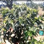 Profile Picture of Edyne Kipps (@edwin.kiplagat.727150) on Facebook