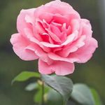 Profile Picture of George Wulford (@georgewulford) on Instagram