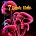 Profile Picture of Bach Châu (@bach.chau.773) on Facebook