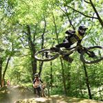 Profile Picture of Colin Mulally (@colinmulally) on Instagram