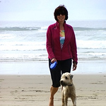 Profile Picture of Pamela Jonasson (@pamjj) on Flickr