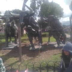 pechereque - Tiktok Profile Picture of pechereque (@miguelfreyre) on Tiktok