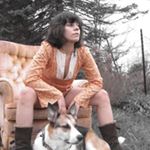 amanda halloran - Instagram Profile Picture of amanda halloran (@wildcrestedbirdling) on Instagram