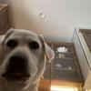 Profile Picture of Ethan Oconnor (@@ethan_oc) on Tiktok