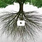 Profile Picture of Stacy Tolliver (@tolliverstacy) on Instagram