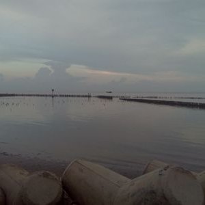 Profile Picture of Phú Quý  Quách (@PhQuQuch1) on Twitter