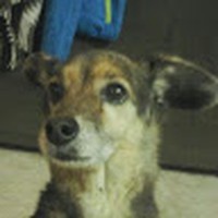 Addison Conrad - Quora Profile Picture of Addison Conrad (@addison-conrad-4) on Quora