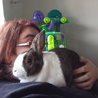 Profile Picture of Hillary Kaitlin Waldron (@hillary-kaitlin-waldron) on Quora