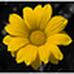 Profile Picture of David Brown (@biscuit_chucker) on Flickr