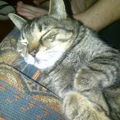 Profile Picture of Thomas Bayly (@sneakytomm) on Twitter