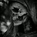 Profile Picture of Daniel Quiňones (@daniel.quinones.7355) on Facebook